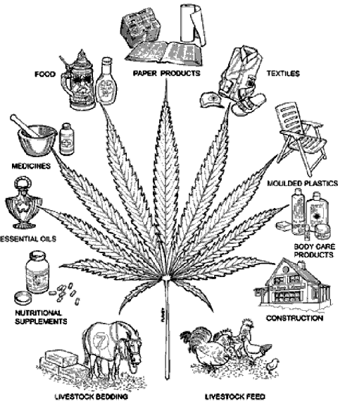 The Union - Marijuana Documentary from British Columbia