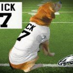 Official Michael Vick Dog Jersey Sold by NFL Shop
