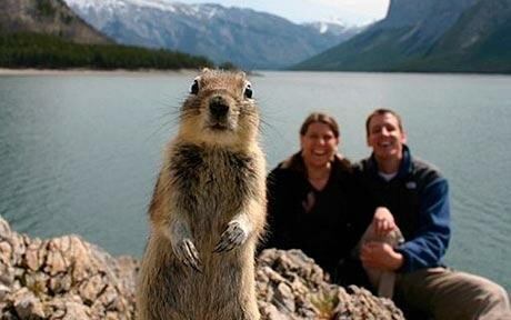 Squirrel Vacation Picture - Wild Animal Steals a Romantic Shot in the Canadian Rockies