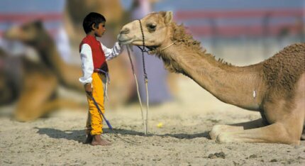 Child Camel Jockeys in United Arab Emirates - SHOCKING VIDEO