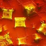 Photomicrography Image of Soy Sauce, Photo: Yanping Wang, Beijing Planetarium, China