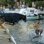 The Oh Shit Moment Photo of Bull Chasing After Man Running Into River