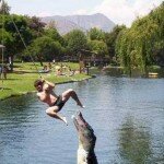 The Oh Shit Moment Photo of Alligator Jumping After a Man on a Swing