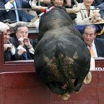 The Oh Shit Moment Photo of Bull Jumping into the Audience Spectators Seating