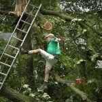 The Oh Shit Moment Photo of Man Cutting Branch Under Himself
