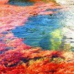 The Most Colorful River in the World - Rio Caño Cristales