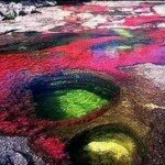 Breathtaking Pools Full of Color - Rio Caño Cristales