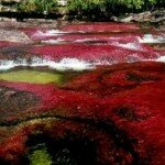 Photo of Rio Caño Cristales - The Most Colorful River in the World