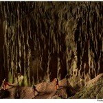 Photo of Limestone Wall Partially Covered with Algae, Hang Son Doong Cave