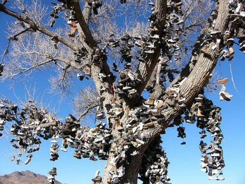 The Old Shoe Tree on Highway 50 in Nevada Has Been Cut Down by Vandals The Old Shoe Tree on Highway 50 in Nevada Has Been Cut Down by Vandals