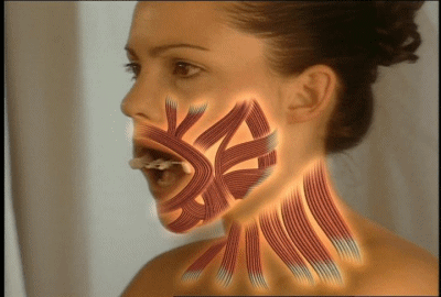 Facial Flex for Better Blowjob